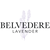 Belvedere Lavender