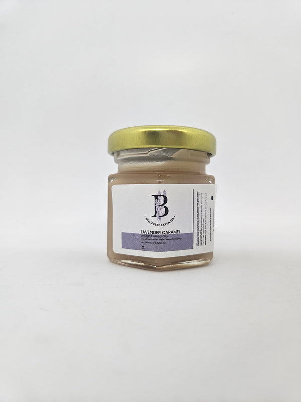 Lavender Caramel Belvedere Lavender
