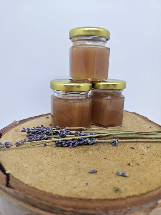 Lavender Caramel Belvedere Lavender